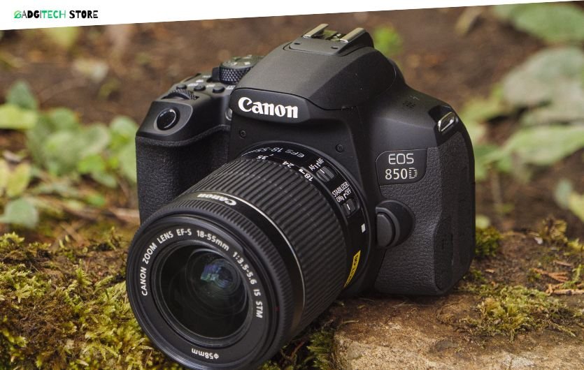 best cameras for 500 dollars