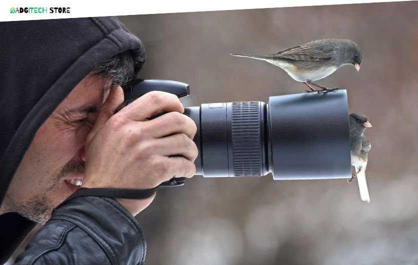 best cameras for animal photography