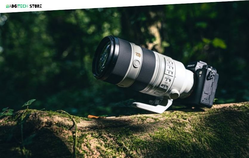 best sony cameras for wildlife photography