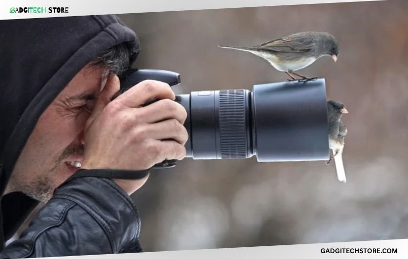 best affordable cameras for wildlife photography