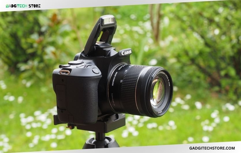 best starter cameras for videography