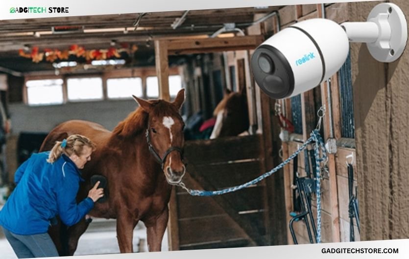 best cameras for inside horse trailer